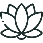 001-lotus-flowerpng - FITLABPRO