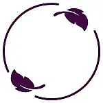 Reset button 1 - FITLABPRO