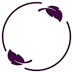 Reset button - FITLABPRO