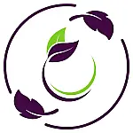 Reset button - FITLABPRO