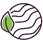 Swissball - FITLABPRO